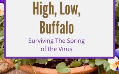High, Low, Buffalo: Surviving The Spring of the Virus